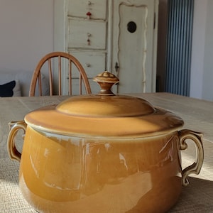 May include: A brown ceramic casserole dish with a lid and two handles. The dish is sitting on a wooden table.