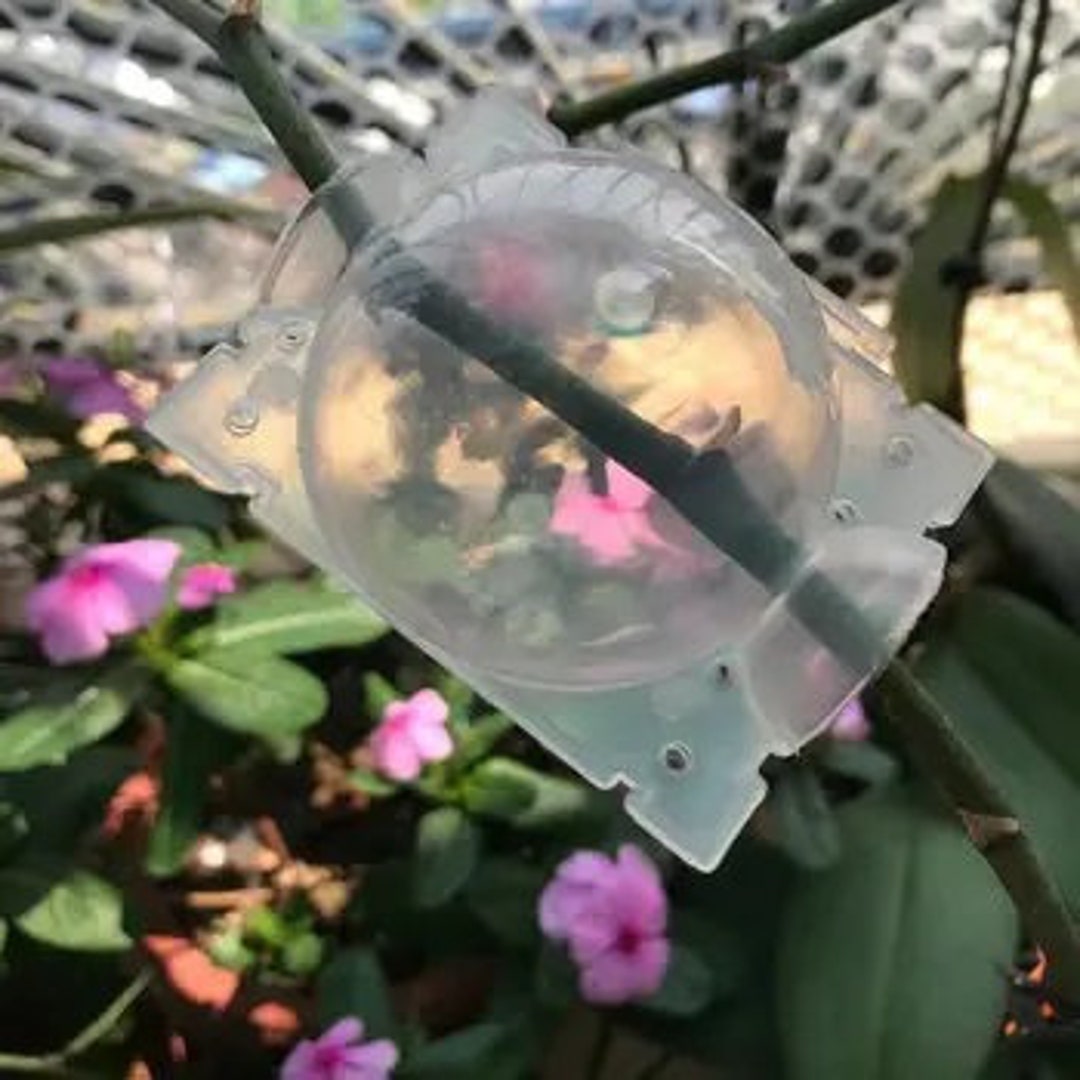 5-pack Reusable Plant Root Growing Box - High-pressure Grafting Device ...