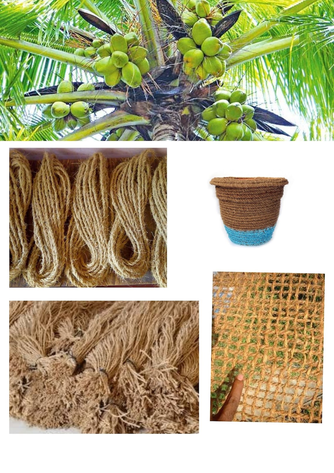 Coconut Fiber Rope Coconut Rope Natural Coconut Rope Handmade Etsy