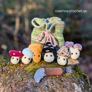 Mushroom Crochet Pattern - Crochet Mycologist Playset Instant Download