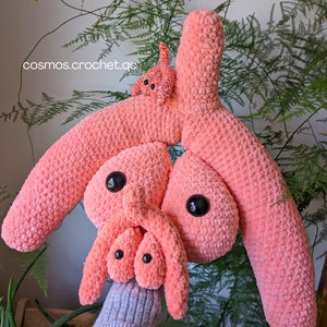 Crochet anatomical clitoris pattern, Reproductive Anatomy Pattern, Feminism, Doula