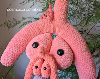 Häkelanleitung für anatomische Klitoris, Reproductive Anatomy Pattern, Feminismus, Doula