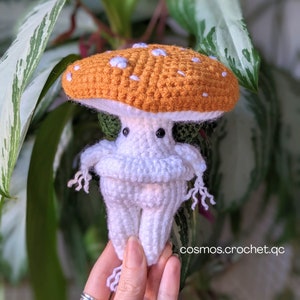 Mushroom Crochet Pattern, Yellow Fairy Design, DIY Amigurumi Tutorial