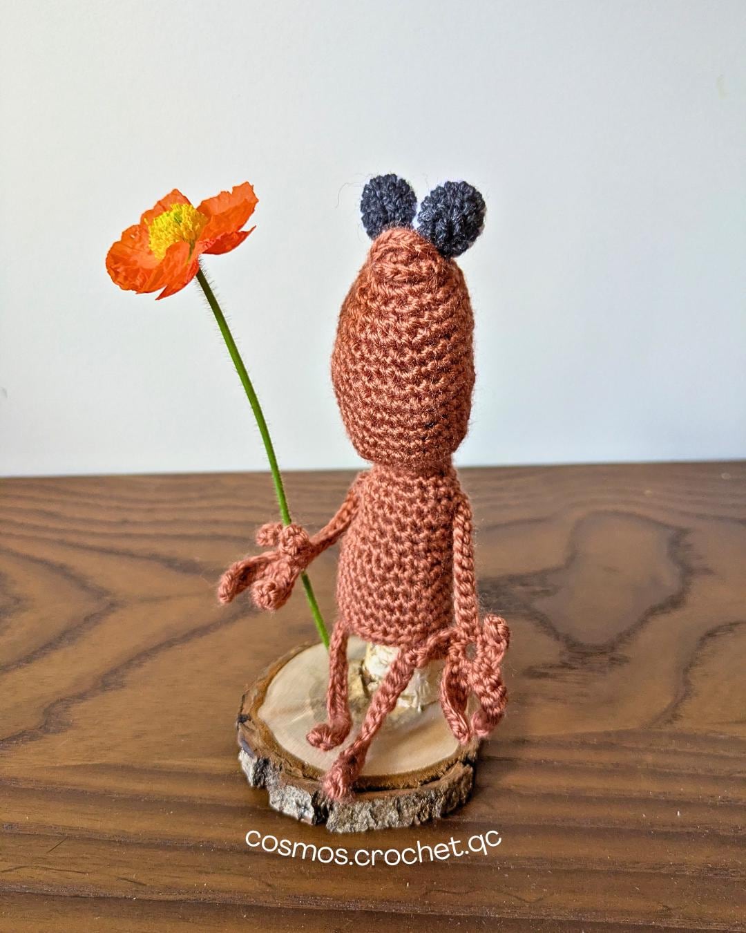 Amigurumi Worm Marcus the Worm Beginner Friendly Tutorial