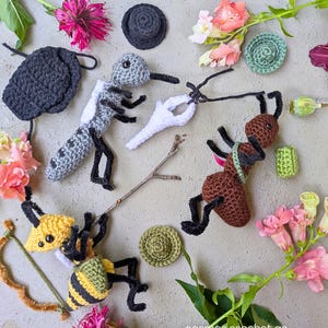 Instant download PDF crochet pattern bundle for DND insect fantasy amigurumi characters