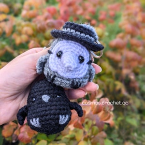 Plague Doctor and Crow Amigurumi Crochet Patterns, Halloween Craft Bundle, DIY Bird Crochet Project