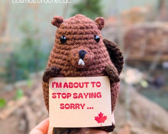 Canadian Beaver Crochet Pattern – Frank Funny Amigurumi PDF, Canada Day Gift, Political Humor, Instant Download
