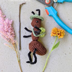 Cute crochet ant fantasy creature inspired by tabletop RPG character design