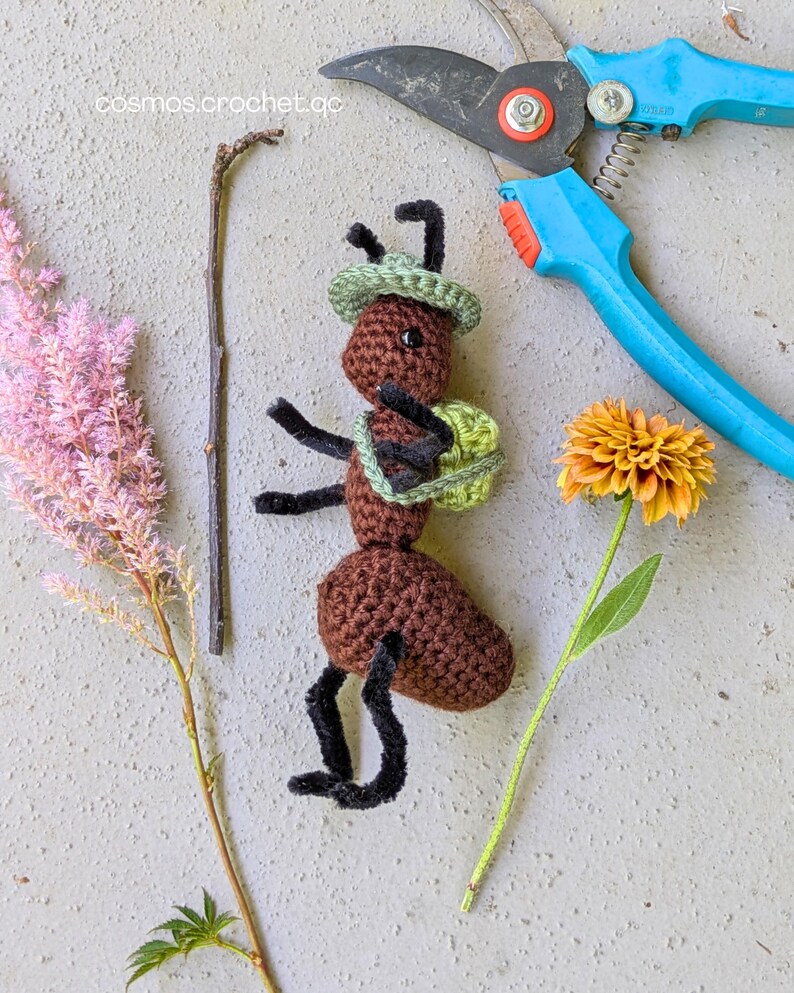 Cute crochet ant fantasy creature inspired by tabletop RPG character design
