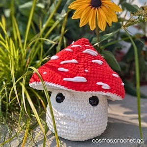 Murray the not so fungi Mushroom Crochet Pattern, Amigurumi Tutorial, DIY Mushroom Plush, Crochet Toy Pattern