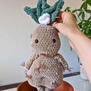 May include: A crocheted plush toy resembling a mandrake, a magical plant from the Harry Potter series. The toy is brown with a green leafy top and is being held above a terracotta pot.
