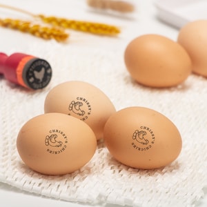 Sello de huevo con tinta segura, sello personalizado para caja de huevos, sello para huevos frescos, sello para huevos, sello para caja de huevos, sello para marcar huevos, sello personalizado para huevos