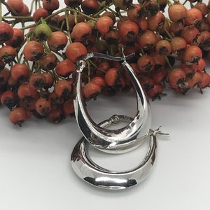 May include: A pair of silver hoop earrings with a smooth, oval shape. The earrings are shown against a background of red berries.