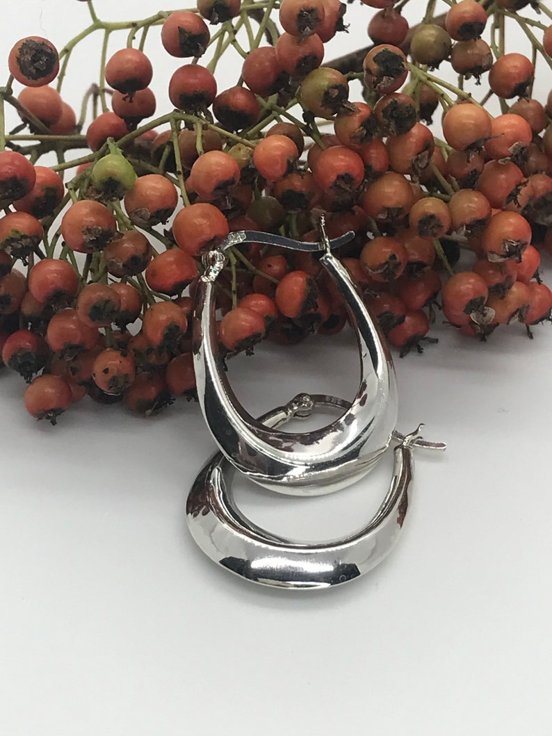 May include: A pair of silver hoop earrings with a smooth, oval shape. The earrings are shown against a background of red berries.