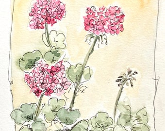 Geraniums Watercolor Illustration, Original Artwork, Line and Wash, Painting Flowers, Floral Sketch 8x10 Gift for Gardener