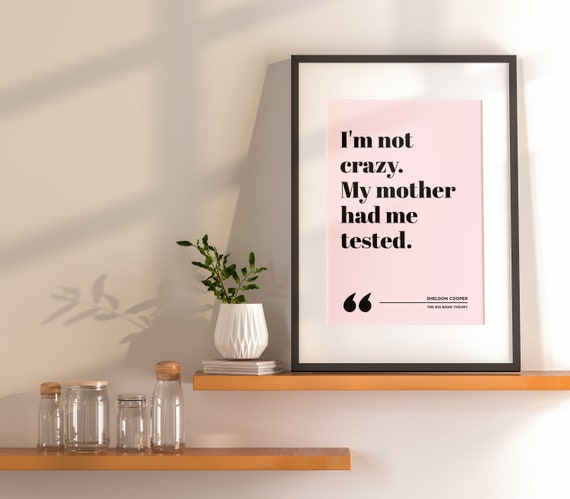 The Big Bang Theory Posters & Wall Art Prints