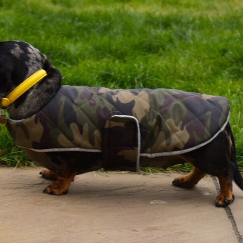 Custom Fit Dachshund Coat Waterproof Dog Coat Sausage Dog Etsy
