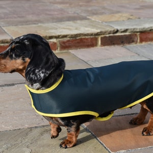 Waterproof Custom Fit Coat Lightweight Dachshund Coat