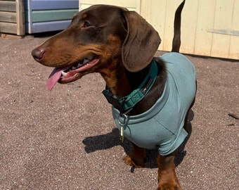 Bamboo Dachshund Cooling T-Shirt: Anti-Allergy Dog Jumper, Small Breed Coat