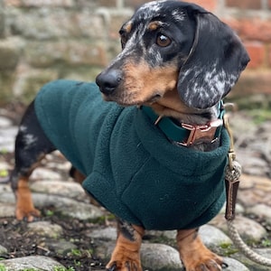 Pull personnalisé en polaire teckel : chaud, respirant, coupe-vent
