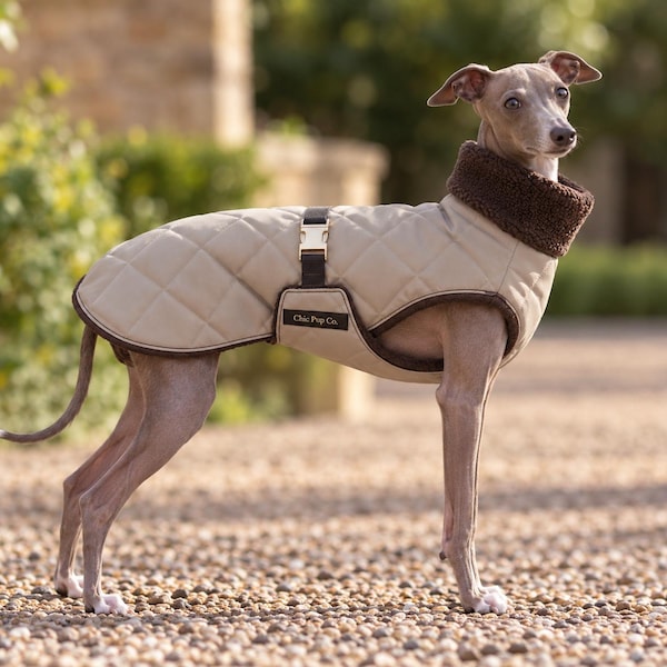 Italian Greyhound Coat, Whippet Coat, Sighthound Winter Jacket, Waterproof Fleece Lined Dog Coat, Iggy Clothing