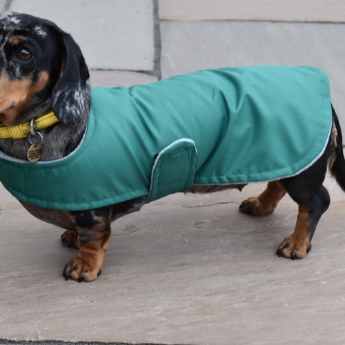 Custom Fit Dachshund Coat Waterproof Dog Coat Sausage Dog Etsy
