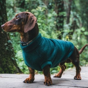 Dachshund Fleece Jumper | Cosy Thermal Walking Layer for Sausage Dogs | Dog Apparel