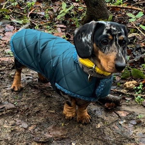 Custom fit Dachshund waterproof coat. Available in 14 different colours, the outer layer has a quilted affect and fully waterproof. The coat simply fasten around the neck and underbelly strap that fastens on the side with velcro for ease.