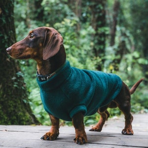 Dachshund Fleece Dachshund jumper zdjęcie 1