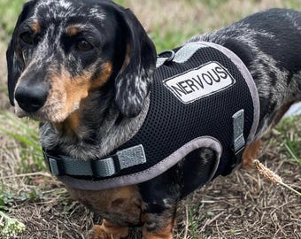 Dachshund Harness, No Rub Mesh Dog Harness, Custom Patches