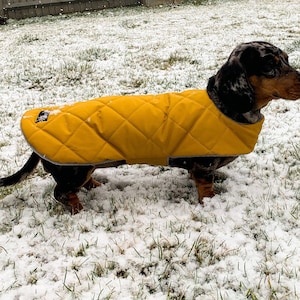 Custom fit Dachshund waterproof coat. Available in 14 different colours, the outer layer has a quilted affect and fully waterproof. The coat simply fasten around the neck and underbelly strap that fastens on the side with velcro for ease.