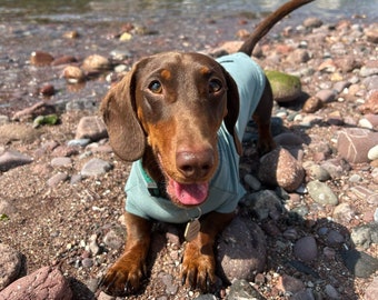 Dachshund Cooling Shirt in Bamboo, Anti-Allergy Jumper, Breathable Dachshund Coat