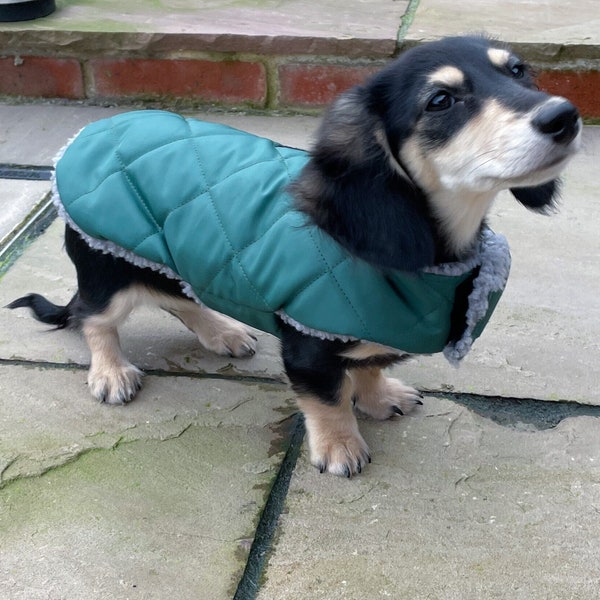 Extra Warm Dachshund Coat, Waterproof Custom Fit, Dachshund Winter Coat, Dog Coat