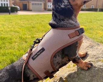 No Rub Dachshund Harness, Comfortable Breathable Mesh Dog Harness & Matching Lead