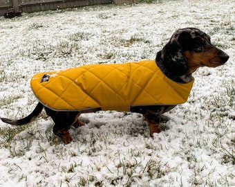 Custom Fit Waterproof Dachshund Coat - Dachshund Raincoat, Dog Coat, Dachshund Coat