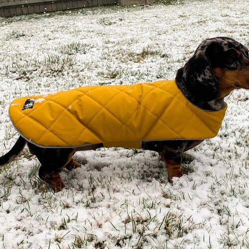 Custom Fit Waterproof Dachshund Coat Dachshund Coat Dog Etsy