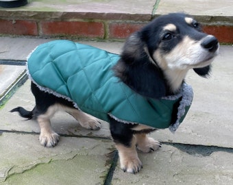 Manteau de teckel extra chaud, ajustement personnalisé imperméable, manteau d'hiver de teckel, manteau de chien