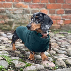 Dachshund Fleece Jumper, Custom Made Dachshund Jumper, Warm Polar Fleece Dachshund Coat