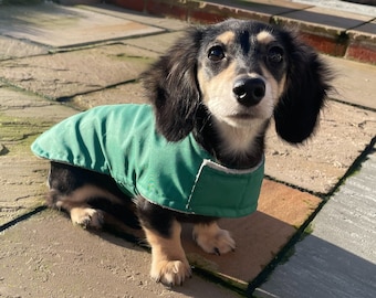 Abrigo impermeable para perros salchicha: abrigo ligero para perros con ajuste personalizado.