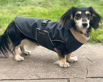 Lightweight Waterproof Dachshund Coat: Small Dogs Breed Jacket