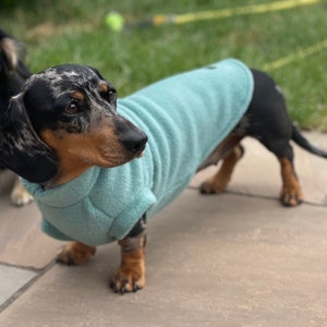 Dachshund Fleece Dachshund jumper zdjęcie 9