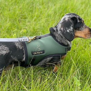 Dackel Harness, No Rub, Atmungsaktives Mesh oder Neopren