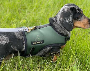 Dachshund Harness, No Rub, Breathable Mesh or Neoprene
