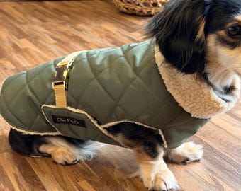 Waterproof Dachshund Coat: Luxury Sherpa Fleece Lined Winter Dog Coat with Gold Buckle