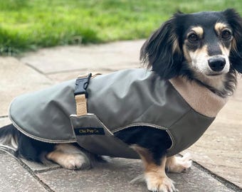 Waterproof Dachshund Coat: Lightweight Small Dog Jacket