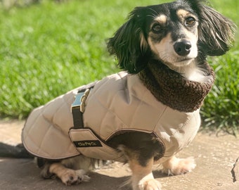 Dachshund Waterproof Winter Coat with Sherpa Fleece Lining