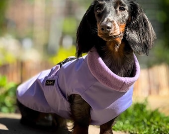 Wodoodporny płaszcz dla jamnika: lekka kurtka dla małego psa z podszewką z polaru