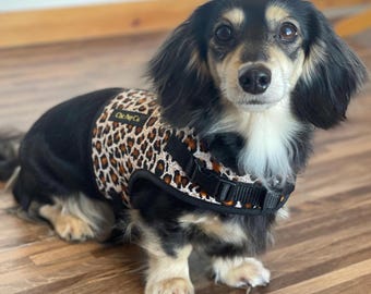 Leopard Print Dachshund Harness: No-rub Soft Mesh, Custom Fit