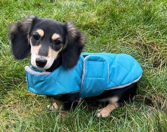 Manteau de teckel imperméable, personnalisé, manteau de teckel, manteau de chien