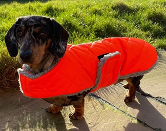 Luxury Dachshund Extra Warm Coat, Sherpa Fleece Dog Coat, Waterproof Custom Fit, Dachshund Winter Coat, Dog Coat